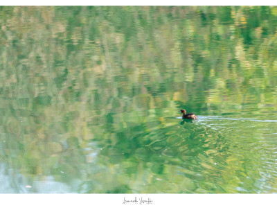 Tuffetto
