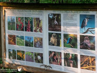Tabellone informativo sull'avifauna
