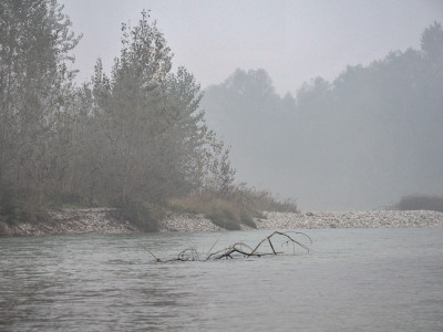 Brenta