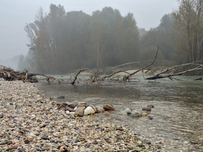 Brenta