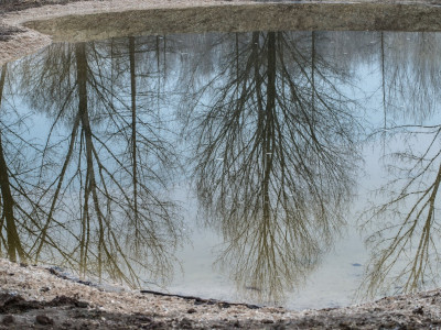 Riflessi nella pozza a sud-est