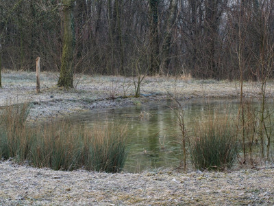 Stagno minore ghiacciato