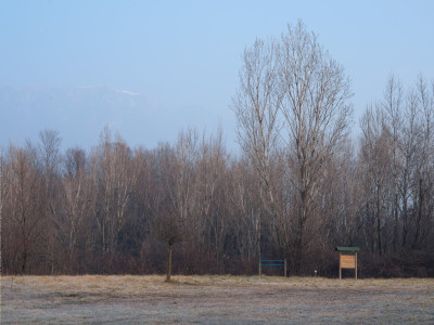 Vista dal prato verde verso nord e il Monte Grappa