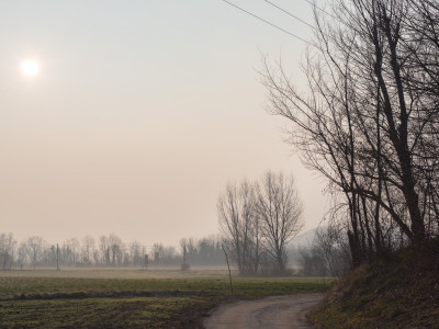 Paesaggio nella bruma