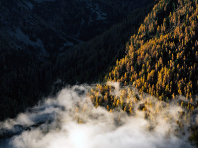Tre colori all'alba
