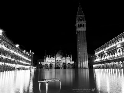 Venezia