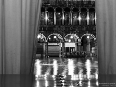 Venezia