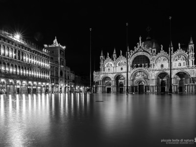 Venezia