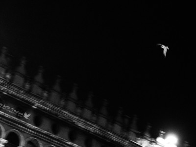 Venezia