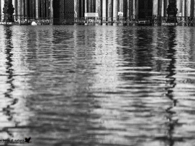 Venezia