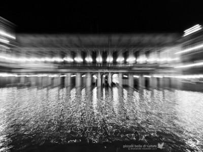 Venezia