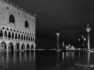 Venezia