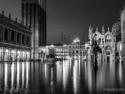 Venezia