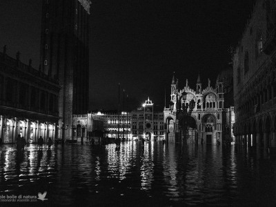 Venezia