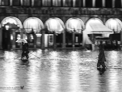 Venezia