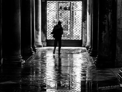 Venezia