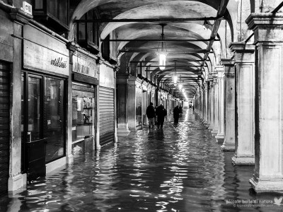 Venezia