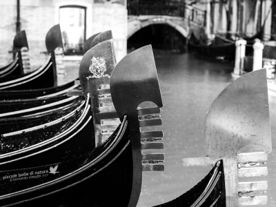 Venezia