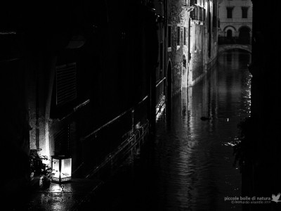 Venezia