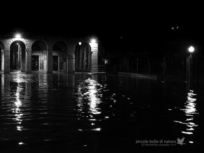 Venezia
