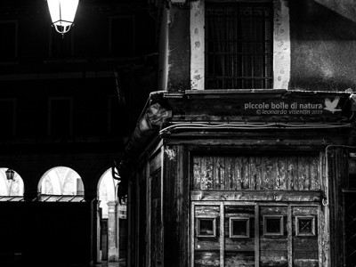Venezia