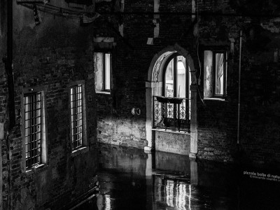 Venezia