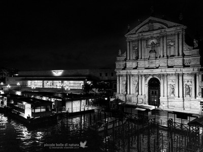 Venezia