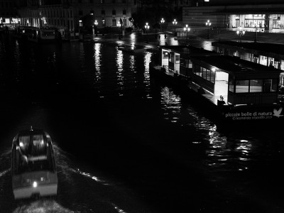 Venezia