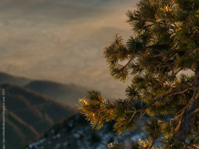 Vista su colli asolani