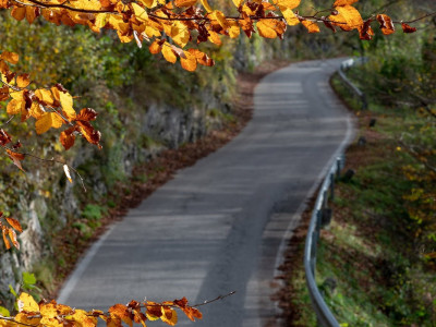 Autunno