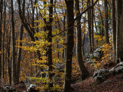 Autunno