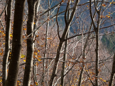 Autunno