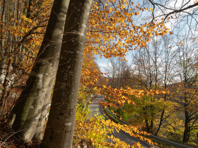 Autunno