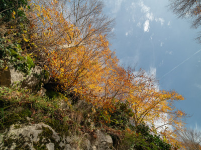 Autunno