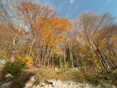 Autunno