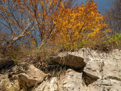 Autunno