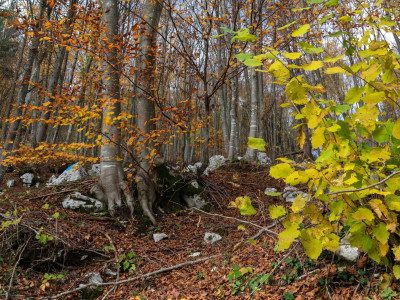 Autunno