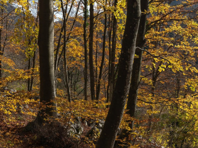 Autunno