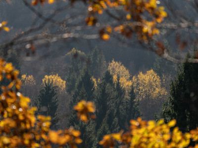 Autunno