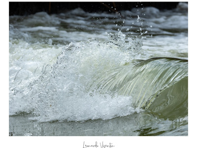 Acqua