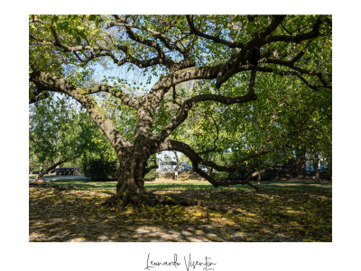 Parco Querini