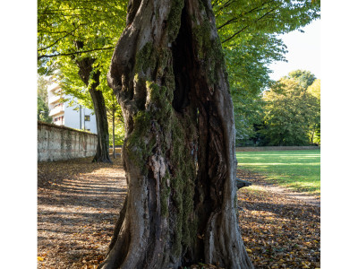 Parco Querini