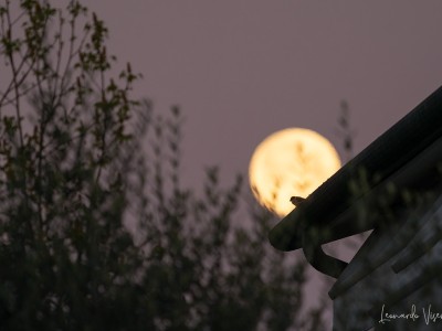Al chiaro di Luna