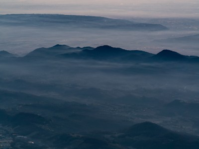 Colli