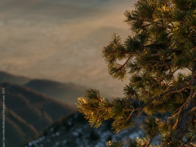 Monte Grappa
