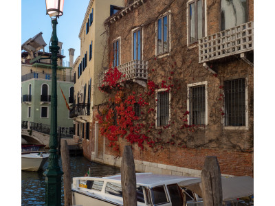 Venezia