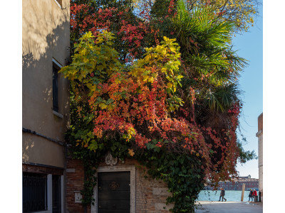 Venezia